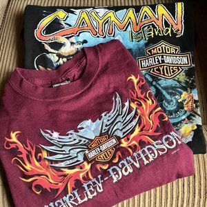 Lot Of 2 Men's or Womens  Harley Davison T-Shirts ￼size L Preowned